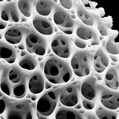 3d printed white tissue.