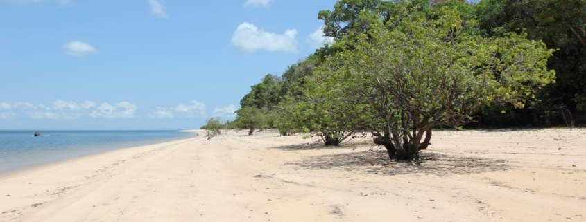 Brazil_Extreme_E-845x321