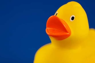 Rubber Duck Pvc