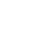 NTNU-wit
