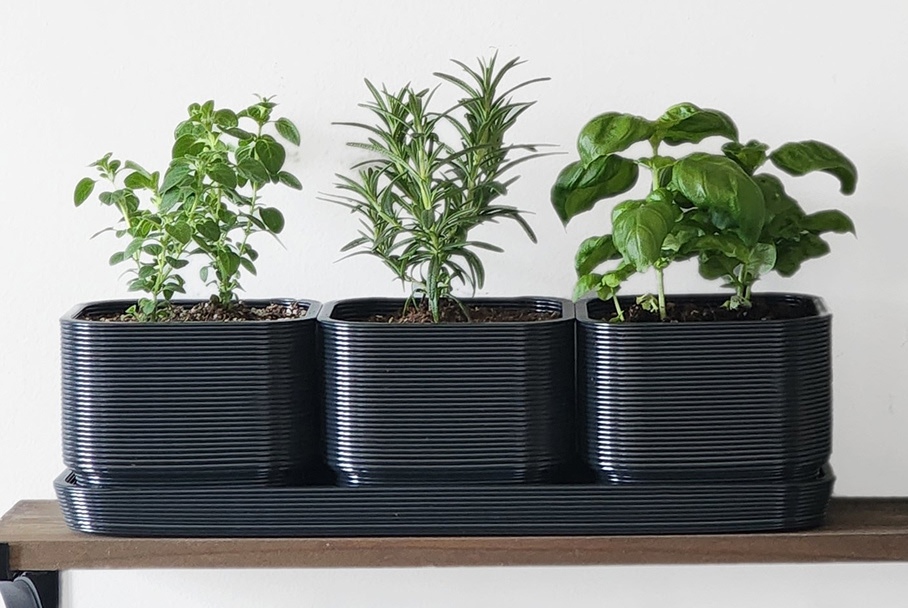 Three plants inside a triple black pot made from rHIPS.