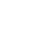 Vector Logo - White